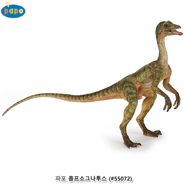 파포 (모형완구) 콤프소그나투스 (no.55072)