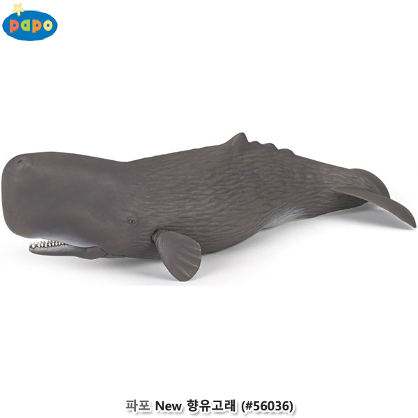 파포 (모형완구) New 향유고래 (#56036)