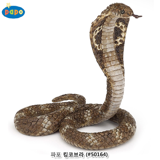 파포 (모형완구) 킹코브라 (no.50164)