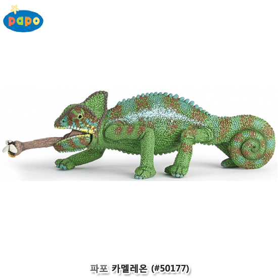 파포 (모형완구) 카멜레온 (no.50177)