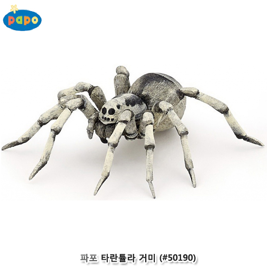 파포 (모형완구) 타란튤라 거미 (no.50190)