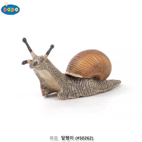 파포 (모형완구) 달팽이 (no.50262)
