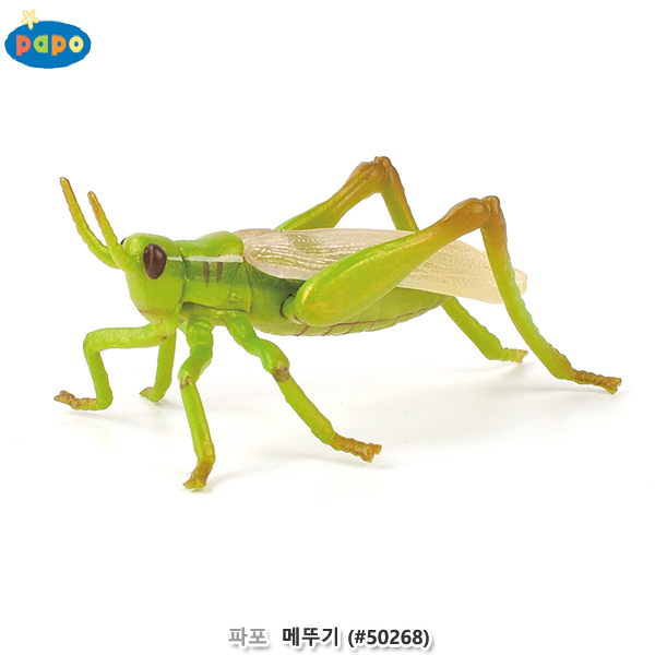 파포 (모형완구) 메뚜기 (no.50268)